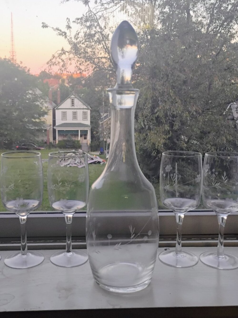 Etched wine glasses with decanter